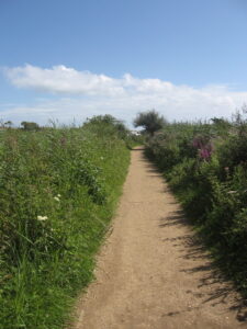 SY6779 : Path to the Visitor Centre