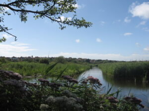 SY6779 : Radipole Lake RSPB Reserve