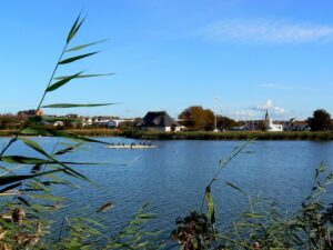 SY6779 : View across Radipole Lake Nature Reserve, Weymouth