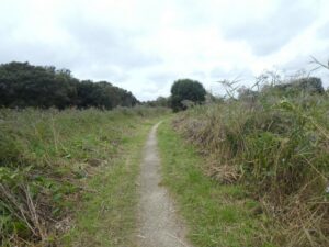 SY6780 : Footpath in Radipole Lake nature reserve