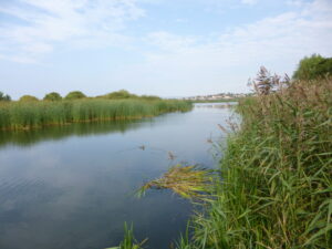 SY6780 : Radipole Lake