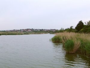 SY6780 : Radipole Lake, looking north