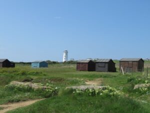 SY6868 : Beach Huts and Old Lighthouse, Portland
