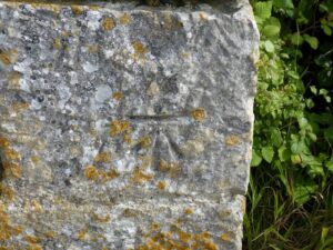 SY6868 : Benchmark on wall of Bird Observatory, Portland