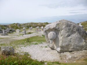 SY6872 : Tout Quarry, bear's head