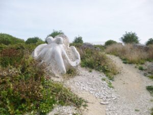 SY6872 : Tout Quarry, octopus