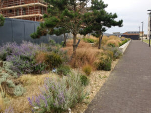 SY6874 : Landscaping near Portland Castle