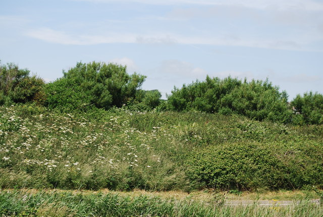 SY6880 : Lodmoor Country Park