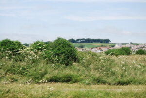 SY6881 : Lodmoor Country Park