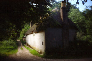 SY7292 : Rear of Hardy's Cottage, Higher Bockhampton
