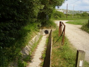 SY7581 : All dried up