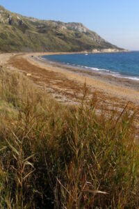 SY7681 : Beach, Ringstead Bay