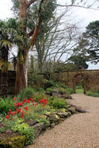 SY7794 : Garden, Athelhampton House, Dorset