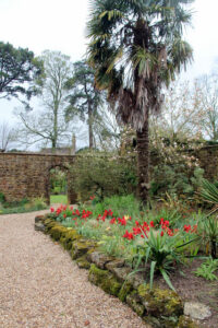 SY7794 : Garden, Athelhampton House, Dorset
