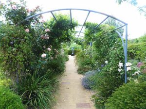 SY7891 : Garden path, Sculpture by the Lakes