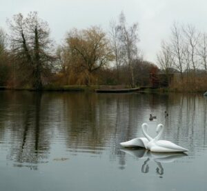 SY7891 : Sculpture by the lakes - Swans
