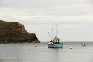 SY8279 : Lulworth Cove
