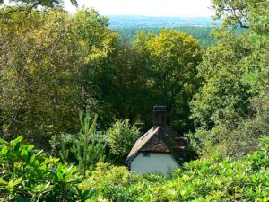 SY8290 : View from the garden at Clouds Hill, Dorset