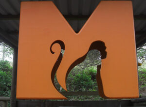 SY8488 : Monkey World logo