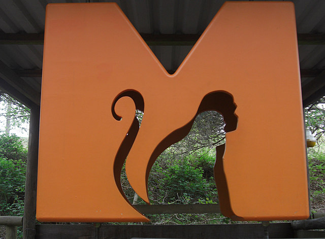 SY8488 : Monkey World logo