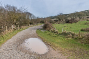 SY8779 : Track to Worbarrow Bay