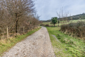 SY8780 : Track to Worbarrow Bay
