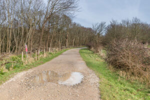 SY8780 : Track to Worbarrow Bay