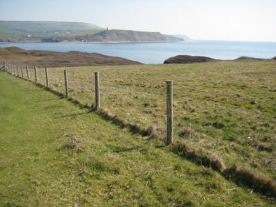Kimmeridge Bay