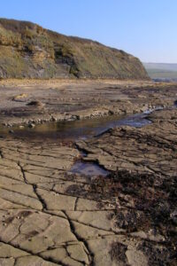 SY9078 : The Flats, Kimmeridge Bay