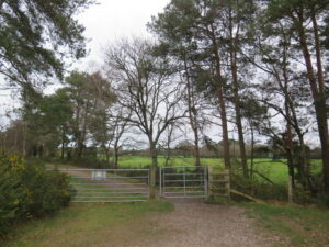 SY9290 : Poole Harbour Trail near Wareham