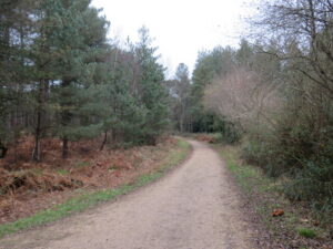 SY9291 : Poole Harbour Trail near Wareham