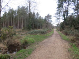 SY9292 : Poole Harbour Trail near Wareham