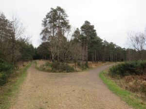 SY9292 : Poole Harbour Trail near Wareham