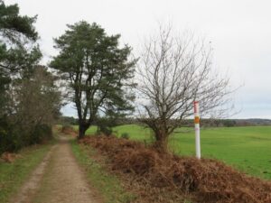 SY9391 : Poole Harbour Trail near Wareham