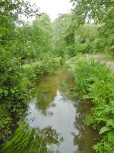 SY9392 : Organford, Sherford River