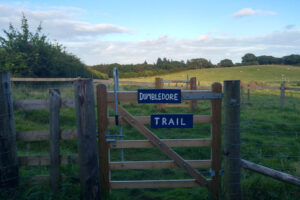 SY9788 : Dumbledore Trail, RSPB Arne Nature Reserve