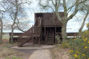 SY9788 : Hide, Arne RSPB reserve