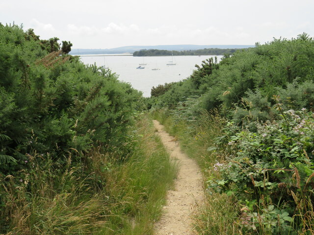 SY9890 : Poole Harbour Trail at Ham Common, Poole