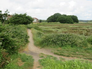 SY9991 : Poole Harbour Trail at Hamworthy, Poole