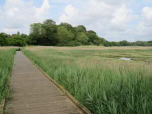 SY9992 : Borardwalk in Upton Country Park, near Poole