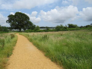 SY9992 : Path in Upton Country Park, near Poole