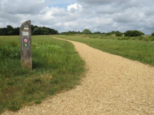 SY9992 : Path in Upton Country Park, near Poole