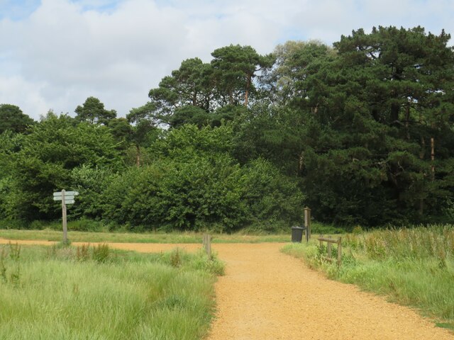 SY9992 : Path in Upton Country Park, near Poole