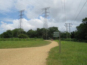 SY9992 : Paths and pylons in Upton Country Park, near Poole