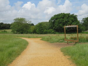 SY9992 : Upton Country Park, near Poole