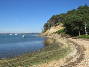 SZ0088 : Brownsea Island shore