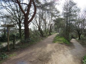 SZ0094 : Castleman Trailway near Broadstone
