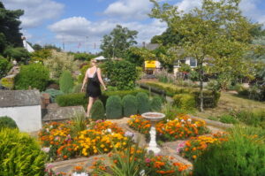 SZ0099 : Wimborne Minster : Flowers at the Model Town