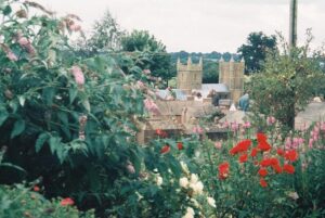 SZ0099 : Wimborne model town: large flowers, small church
