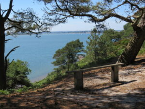SZ0187 : Bench on Brownsea Island